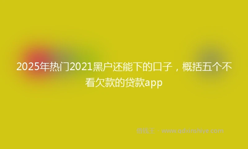 2025年热门2021黑户还能下的口子，概括五个不看欠款的贷款app