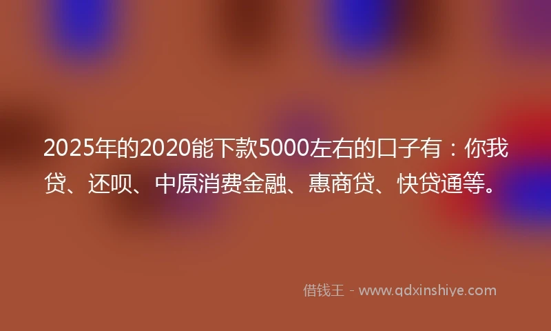 2025年的2020能下款5000左右的口子有：你我贷、还呗、中原消费金融、惠商贷、快贷通等。