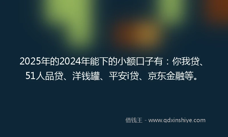 2025年的2024年能下的小额口子有：你我贷、51人品贷、洋钱罐、平安i贷、京东金融等。