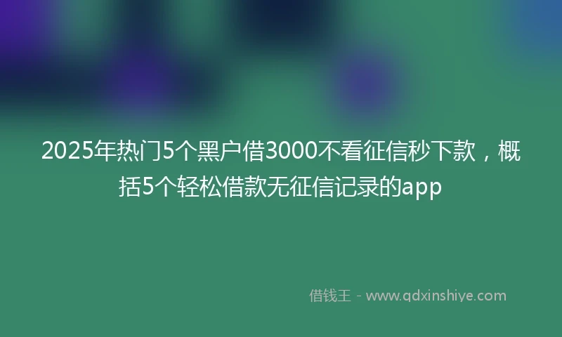 2025年热门5个黑户借3000不看征信秒下款，概括5个轻松借款无征信记录的app