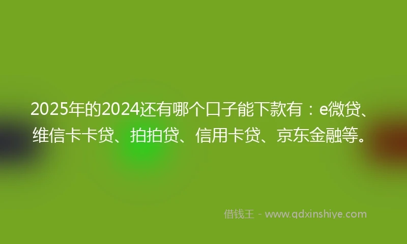 2025年的2024还有哪个口子能下款有：e微贷、维信卡卡贷、拍拍贷、信用卡贷、京东金融等。