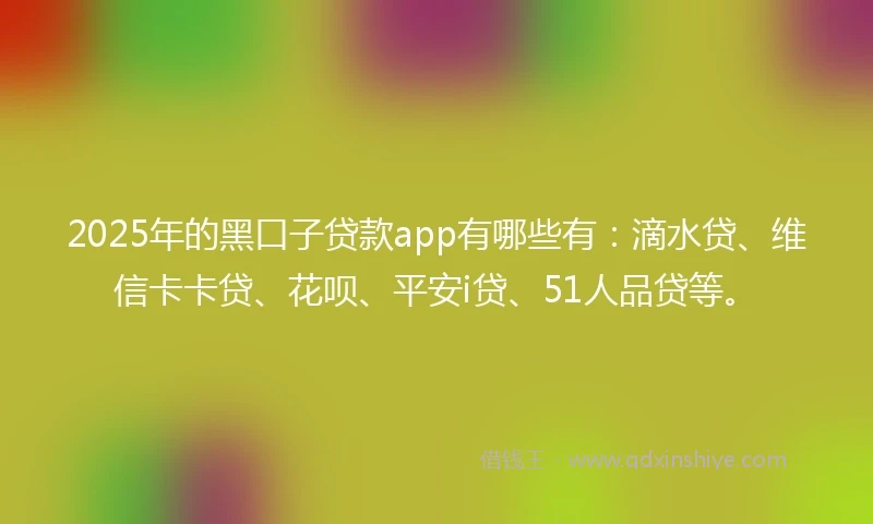 2025年的黑口子贷款app有哪些有：滴水贷、维信卡卡贷、花呗、平安i贷、51人品贷等。