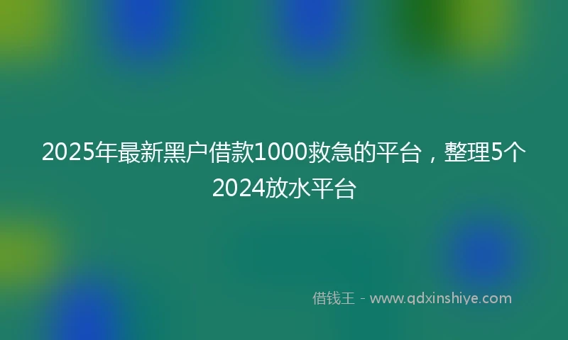 2025年最新黑户借款1000救急的平台，整理5个2024放水平台