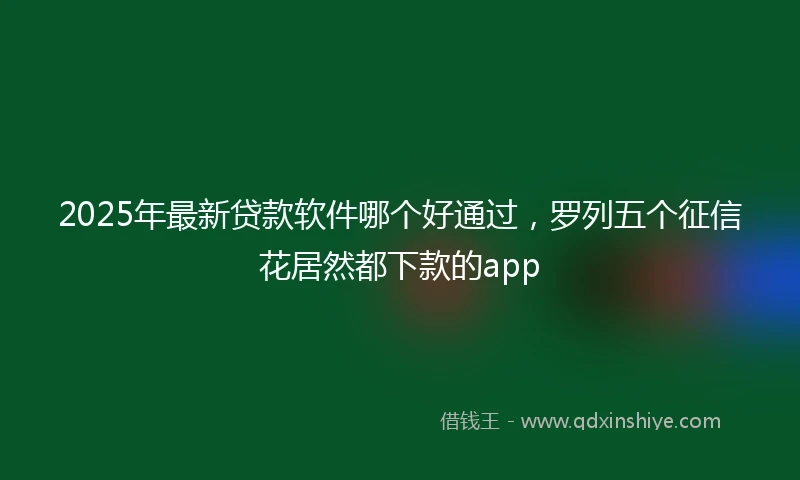 2025年最新贷款软件哪个好通过，罗列五个征信花居然都下款的app