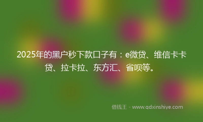 2025年的黑户秒下款口子有：e微贷、维信卡卡贷、拉卡拉、东方汇、省呗等。