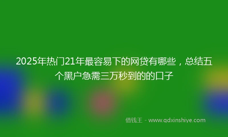2025年热门21年最容易下的网贷有哪些，总结五个黑户急需三万秒到的的口子