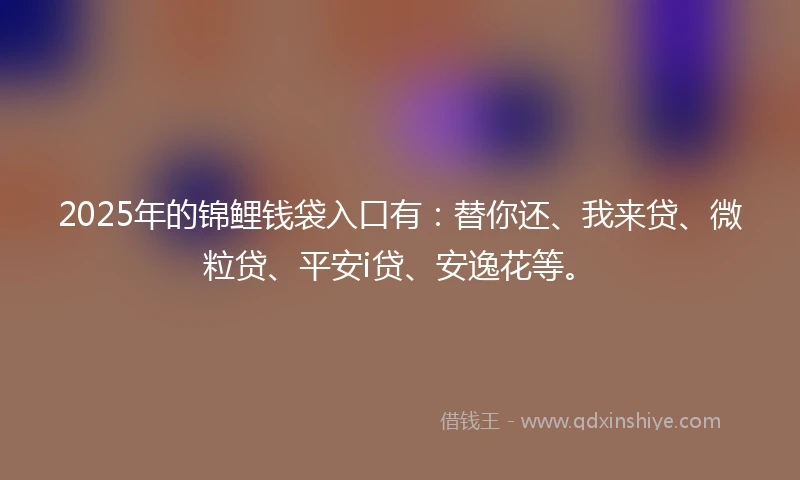 2025年的锦鲤钱袋入口有：替你还、我来贷、微粒贷、平安i贷、安逸花等。