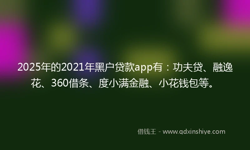 2025年的2021年黑户贷款app有：功夫贷、融逸花、360借条、度小满金融、小花钱包等。