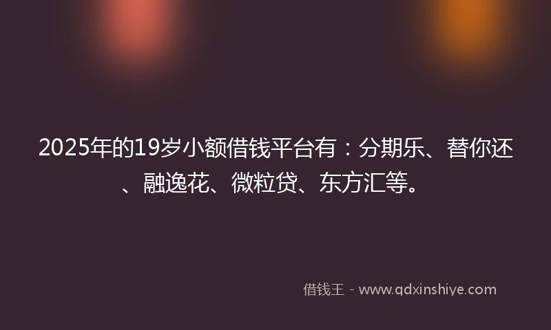 2025年的19岁小额借钱平台有：分期乐、替你还、融逸花、微粒贷、东方汇等。