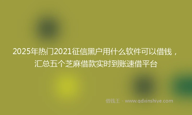 2025年热门2021征信黑户用什么软件可以借钱，汇总五个芝麻借款实时到账速借平台