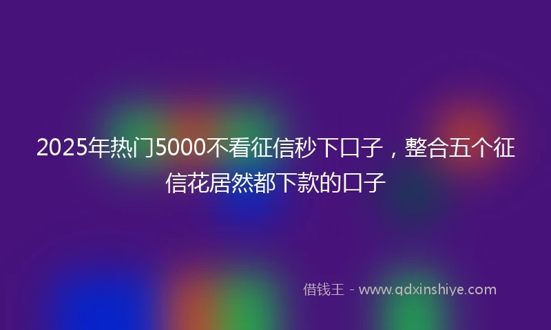 2025年热门5000不看征信秒下口子，整合五个征信花居然都下款的口子