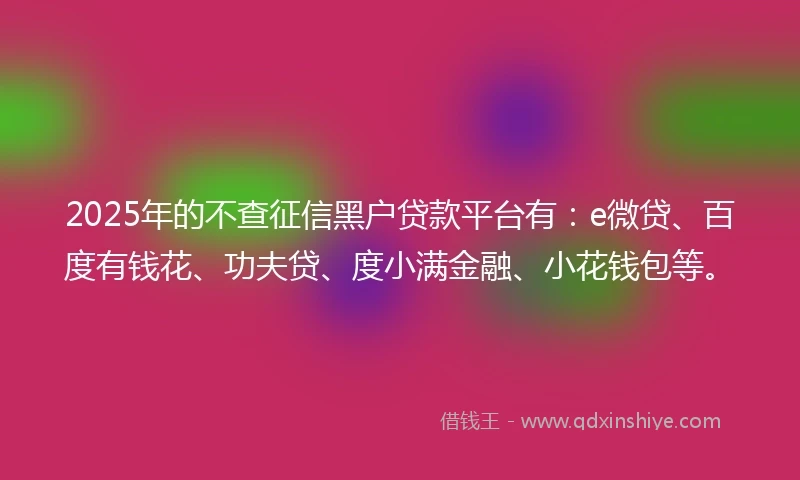 2025年的不查征信黑户贷款平台有：e微贷、百度有钱花、功夫贷、度小满金融、小花钱包等。