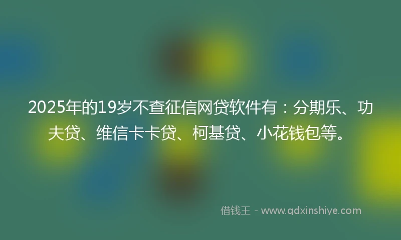 2025年的19岁不查征信网贷软件有：分期乐、功夫贷、维信卡卡贷、柯基贷、小花钱包等。