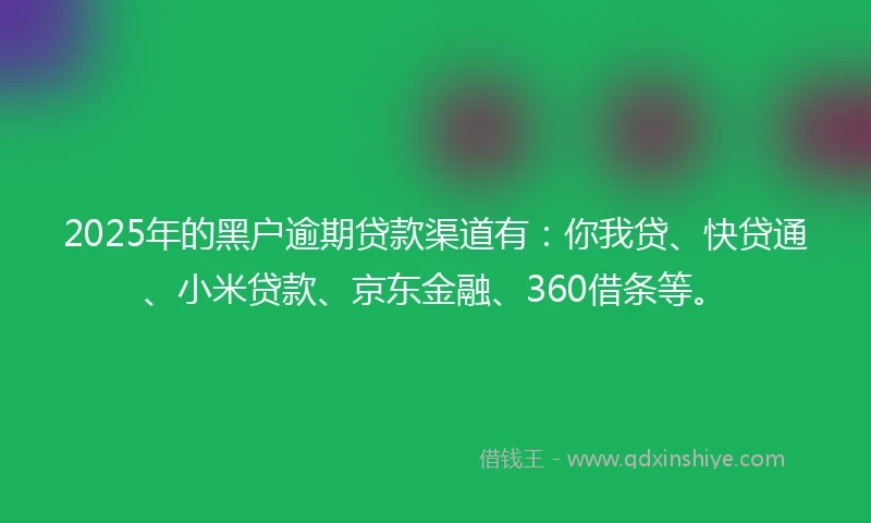 2025年的黑户逾期贷款渠道有：你我贷、快贷通、小米贷款、京东金融、360借条等。