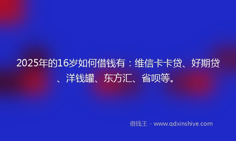 2025年的16岁如何借钱有：维信卡卡贷、好期贷、洋钱罐、东方汇、省呗等。