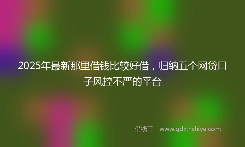 2025年最新那里借钱比较好借，归纳五个网贷口子风控不严的平台