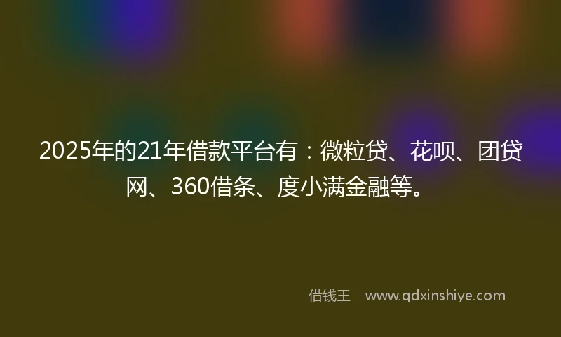 2025年的21年借款平台有：微粒贷、花呗、团贷网、360借条、度小满金融等。
