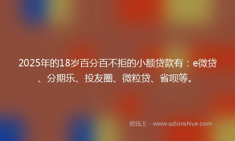 2025年的18岁百分百不拒的小额贷款有：e微贷、分期乐、投友圈、微粒贷、省呗等。