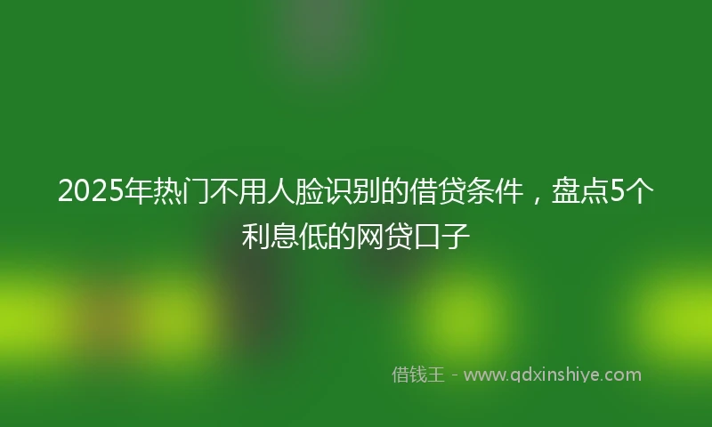 2025年热门不用人脸识别的借贷条件，盘点5个利息低的网贷口子