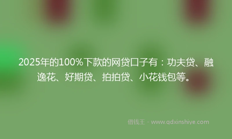 2025年的100%下款的网贷口子有：功夫贷、融逸花、好期贷、拍拍贷、小花钱包等。