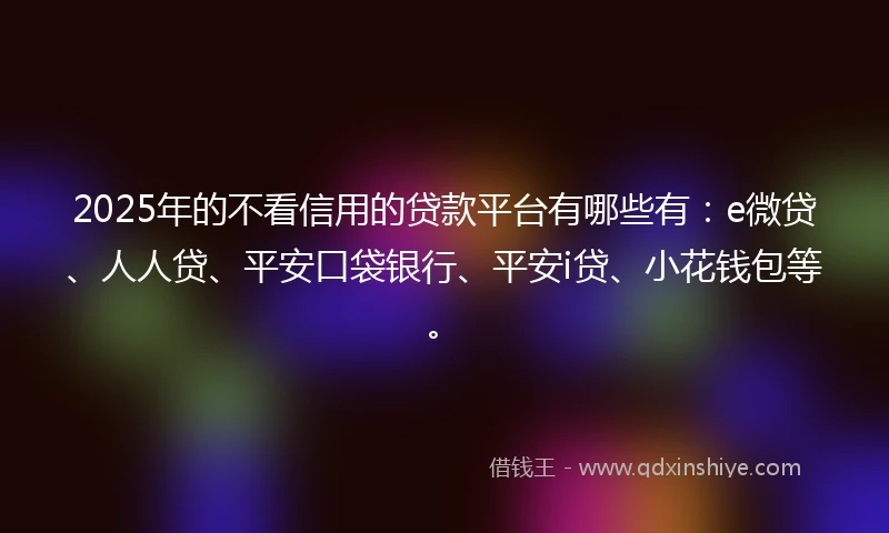 2025年的不看信用的贷款平台有哪些有：e微贷、人人贷、平安口袋银行、平安i贷、小花钱包等。