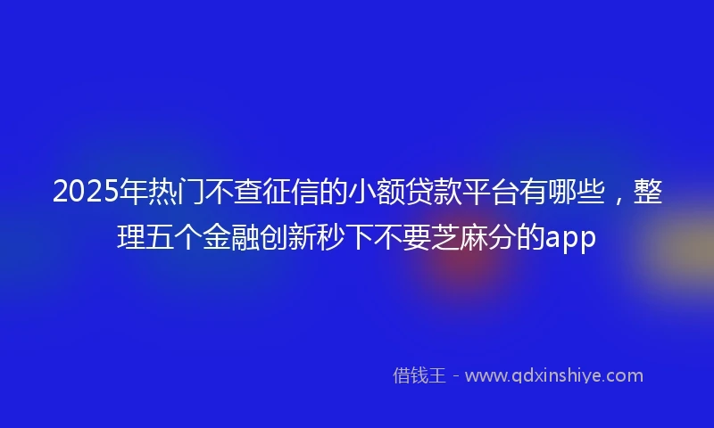 2025年热门不查征信的小额贷款平台有哪些，整理五个金融创新秒下不要芝麻分的app