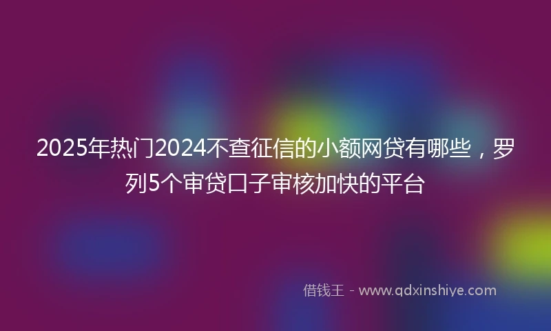 2025年热门2024不查征信的小额网贷有哪些，罗列5个审贷口子审核加快的平台