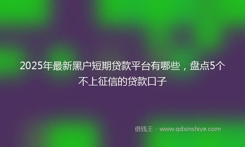 2025年最新黑户短期贷款平台有哪些，盘点5个不上征信的贷款口子