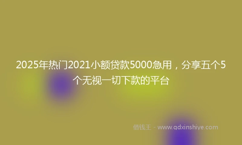 2025年热门2021小额贷款5000急用，分享五个5个无视一切下款的平台