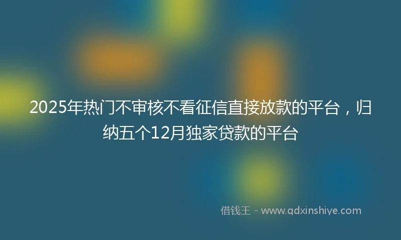 2025年热门不审核不看征信直接放款的平台，归纳五个12月独家贷款的平台