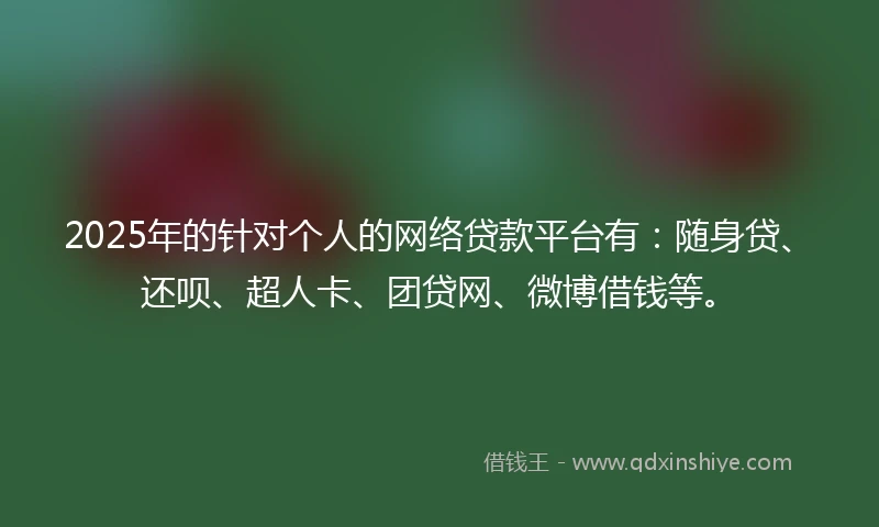 2025年的针对个人的网络贷款平台有：随身贷、还呗、超人卡、团贷网、微博借钱等。