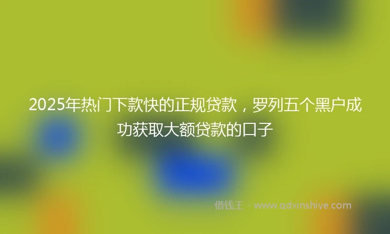 2025年热门下款快的正规贷款，罗列五个黑户成功获取大额贷款的口子