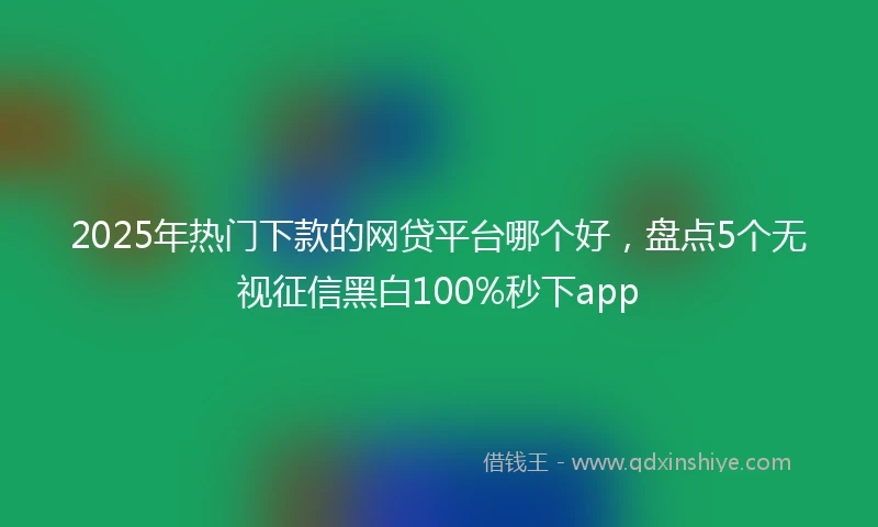 2025年热门下款的网贷平台哪个好，盘点5个无视征信黑白100%秒下app