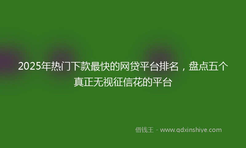 2025年热门下款最快的网贷平台排名，盘点五个真正无视征信花的平台