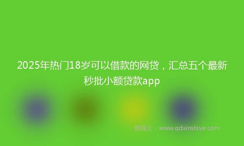 2025年热门18岁可以借款的网贷，汇总五个最新秒批小额贷款app