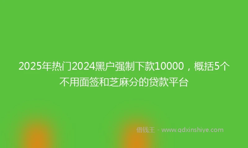 2025年热门2024黑户强制下款10000，概括5个不用面签和芝麻分的贷款平台