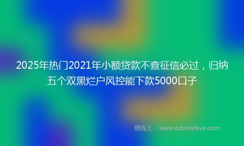 2025年热门2021年小额贷款不查征信必过，归纳五个双黑烂户风控能下款5000口子