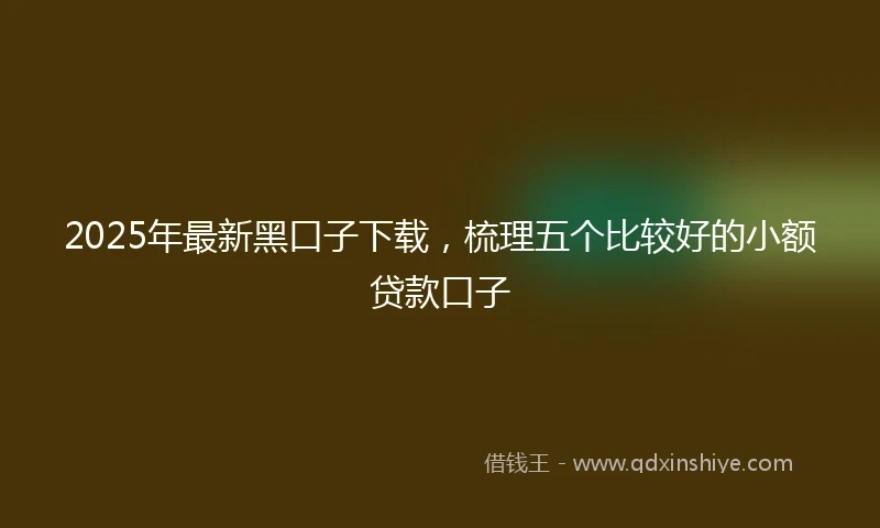 2025年最新黑口子下载，梳理五个比较好的小额贷款口子
