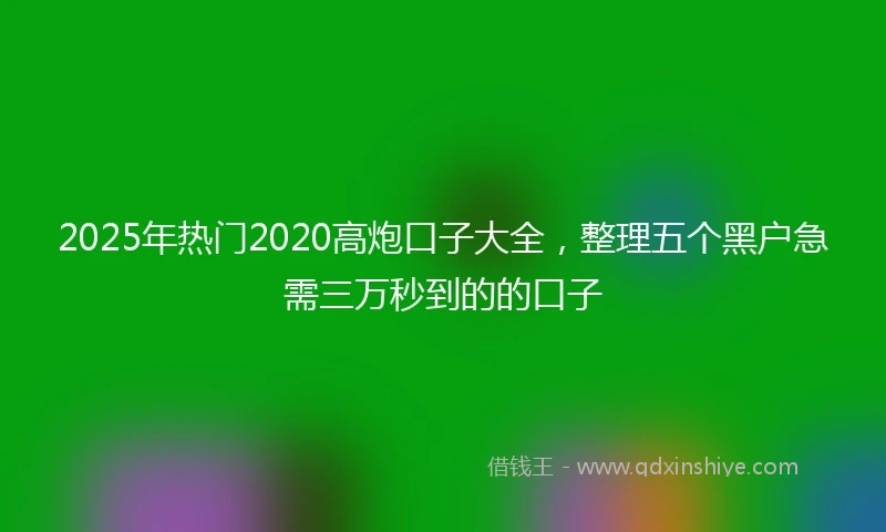 2025年热门2020高炮口子大全，整理五个黑户急需三万秒到的的口子