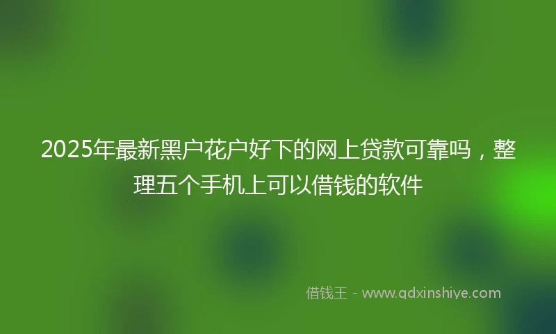 2025年最新黑户花户好下的网上贷款可靠吗，整理五个手机上可以借钱的软件