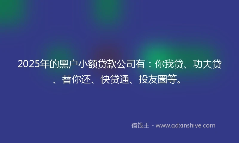 2025年的黑户小额贷款公司有：你我贷、功夫贷、替你还、快贷通、投友圈等。