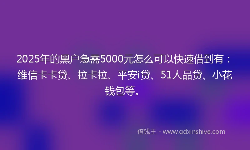 2025年的黑户急需5000元怎么可以快速借到有：维信卡卡贷、拉卡拉、平安i贷、51人品贷、小花钱包等。