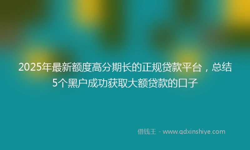 2025年最新额度高分期长的正规贷款平台，总结5个黑户成功获取大额贷款的口子