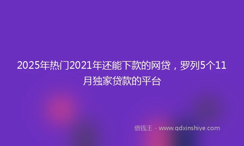 2025年热门2021年还能下款的网贷，罗列5个11月独家贷款的平台