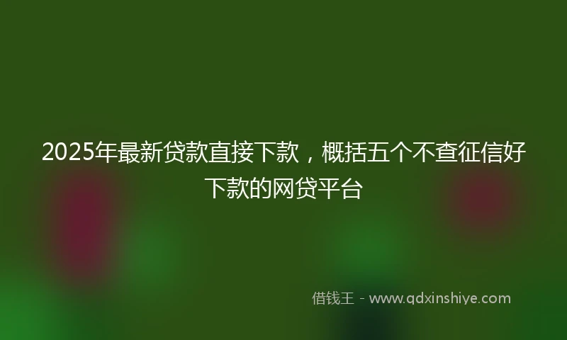 2025年最新贷款直接下款，概括五个不查征信好下款的网贷平台
