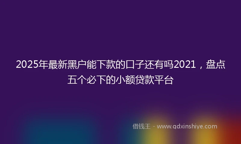 2025年最新黑户能下款的口子还有吗2021，盘点五个必下的小额贷款平台