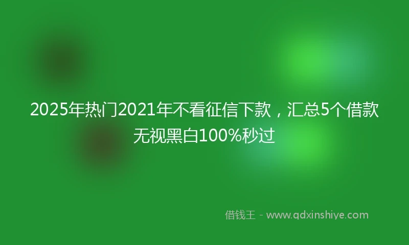 2025年热门2021年不看征信下款，汇总5个借款无视黑白100%秒过