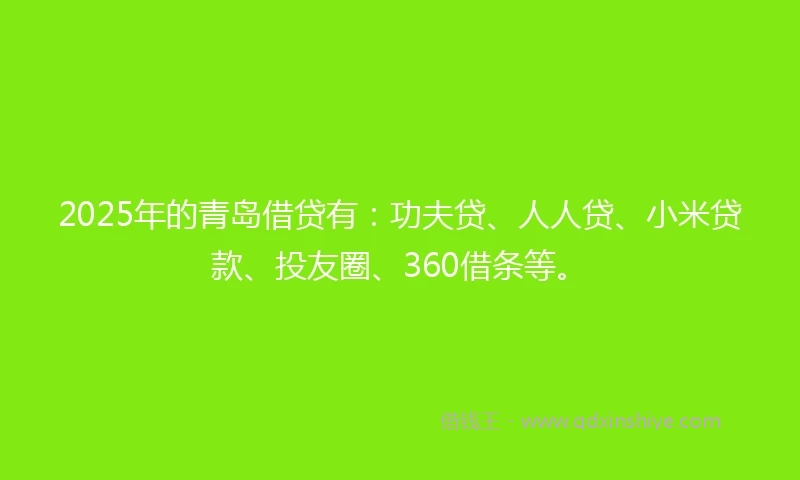 2025年的青岛借贷有：功夫贷、人人贷、小米贷款、投友圈、360借条等。