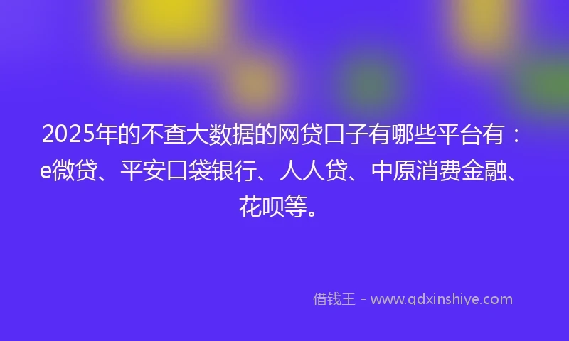 2025年的不查大数据的网贷口子有哪些平台有：e微贷、平安口袋银行、人人贷、中原消费金融、花呗等。