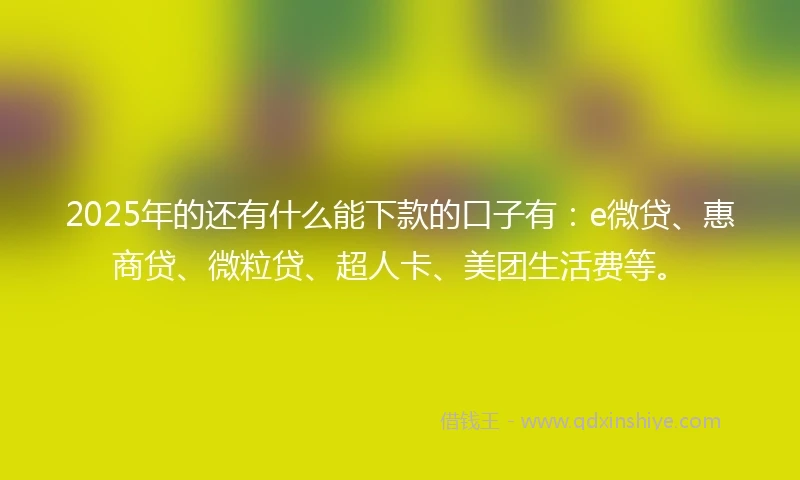 2025年的还有什么能下款的口子有：e微贷、惠商贷、微粒贷、超人卡、美团生活费等。